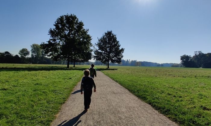 Die Merheimer Heide hat viel zu bieten, aber vor allem Platz. © Benjamin Stapf